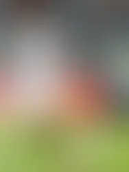 Vitória perde para o Grêmio e segue sem vencer rival há 12 jogos