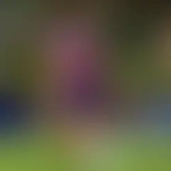 Com gol no fim, Bahia vence de virada e sobe na tabela