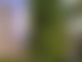 Deputado alvo da PF mora em apartamento de luxo no Corredor da Vitória