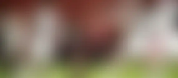 Vitória joga bem, mas perde para o Flamengo no Barradão