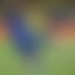 Brasil bate Croácia por 3 a 1 e encerra preparação para a Copa