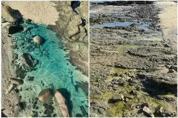Salvador reconhece situação de emergência em área afetada por poluição no Subúrbio