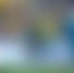 Austrália x Brasil: confira como chegam os times, prováveis escalações, arbitragem e onde assistir