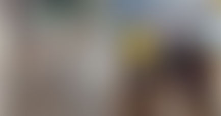 Peixes aparecem no meio da rua após fortes chuvas em Ipiaú