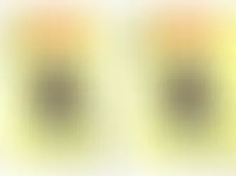 Ex-integrante do Baralho do Crime morre em confronto com a polícia na Bahia