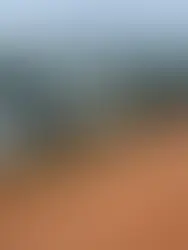 Operação contra plantio de maconha deixa cinco mortos e 10 presos na Chapada Diamantina