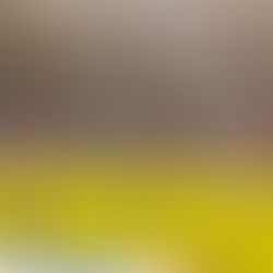 Bahia perde e torcedor implora: "FORA CENI"
