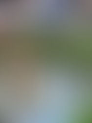 Homem é achado morto no Dique do Tororó