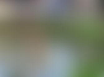 Homem é achado morto no Dique do Tororó