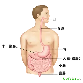 胃腸科の診療範囲．