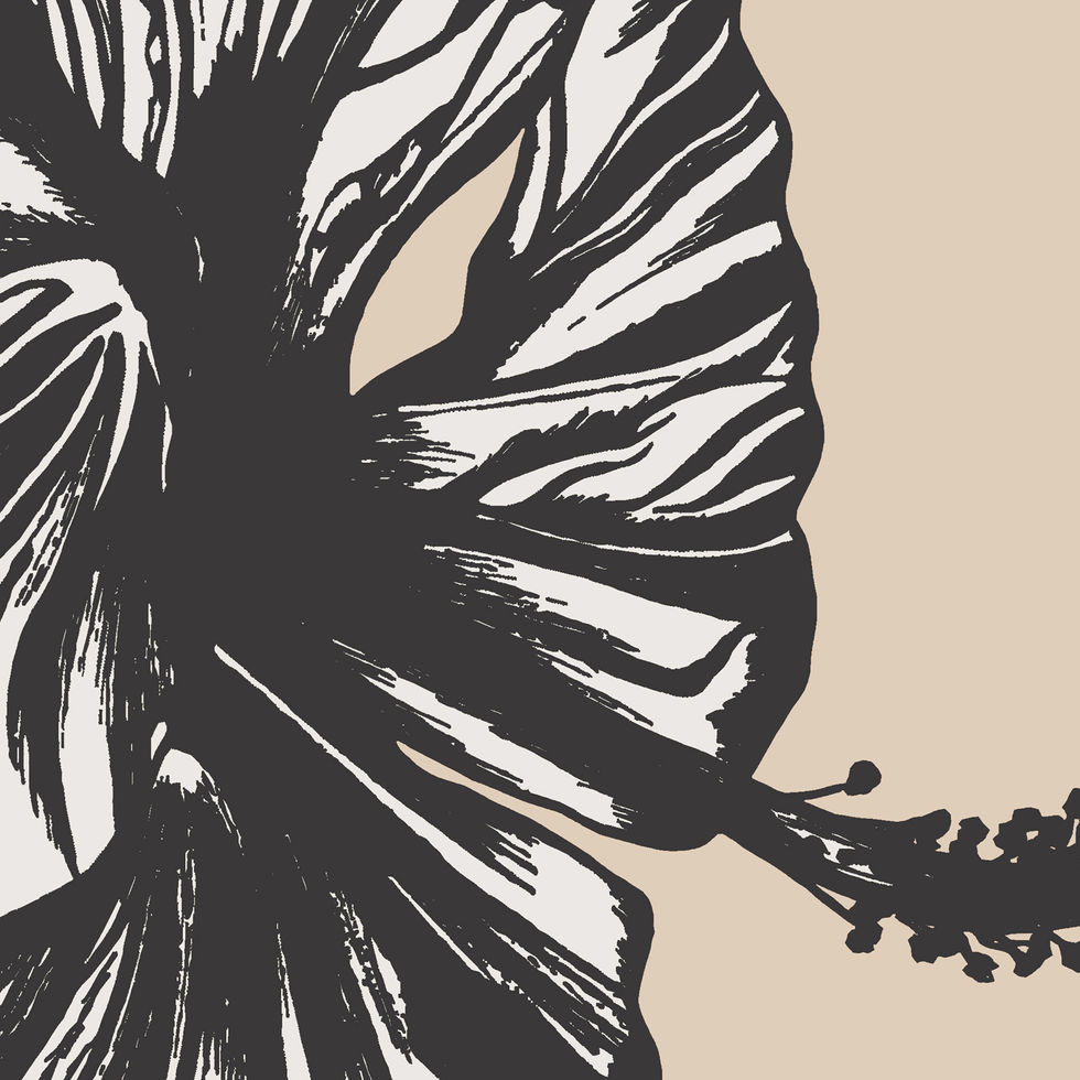 a closer look at the line detail on the hibiscus art print