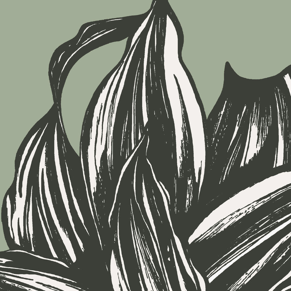 close up look at the dracaena plant art print.