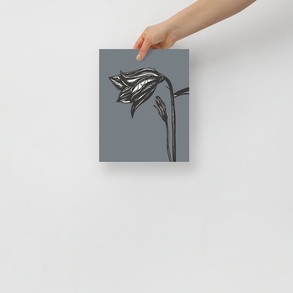Thumbnail: Harebell – muted slate blue minimal flower wall art print, matte art print