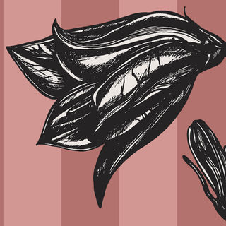 Close up of the pink stripe harebell art print