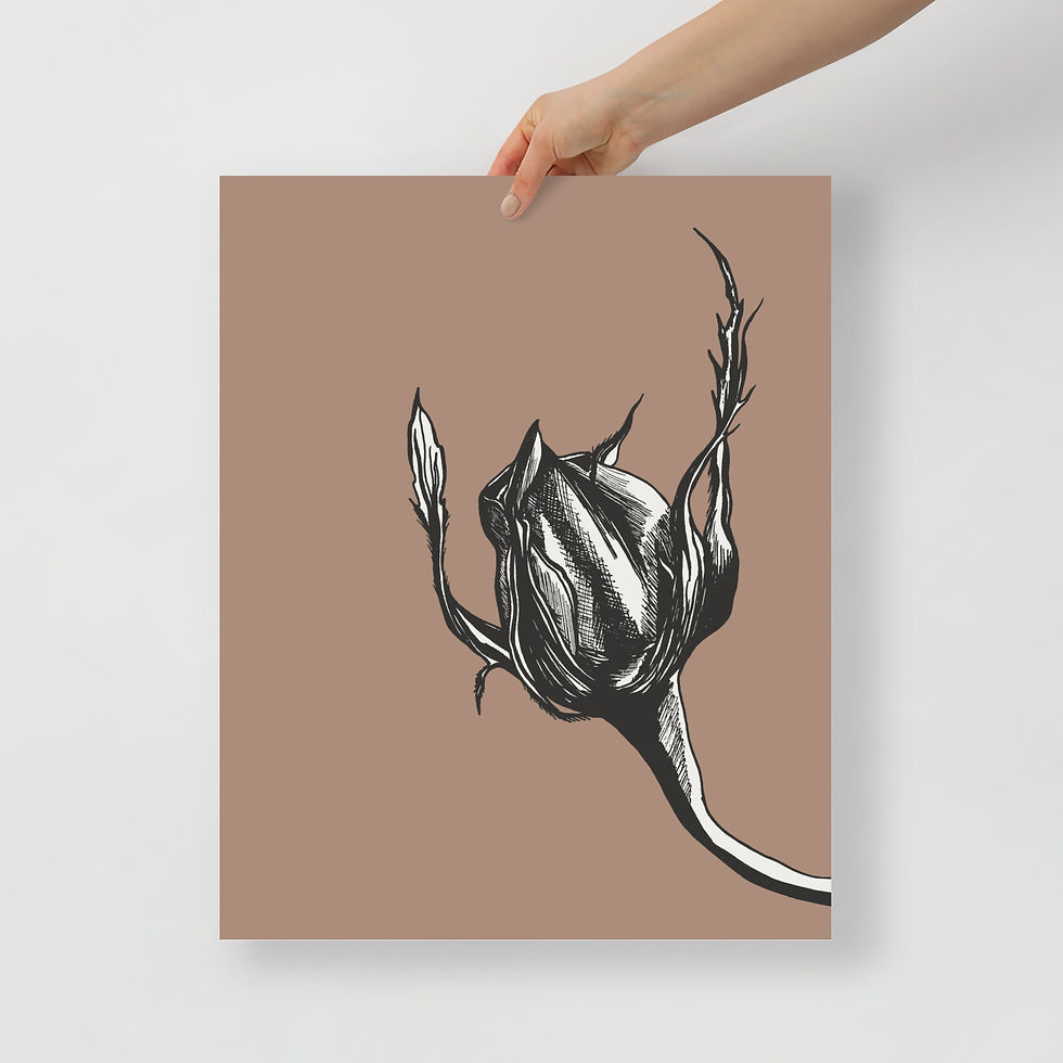 Thumbnail: Emergence - rosewood pink minimal rosebud wall art print, matte art print