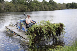 Arrachage de Jussie en Ille-et-vilaine 35