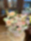 IMG_9853.jpeg