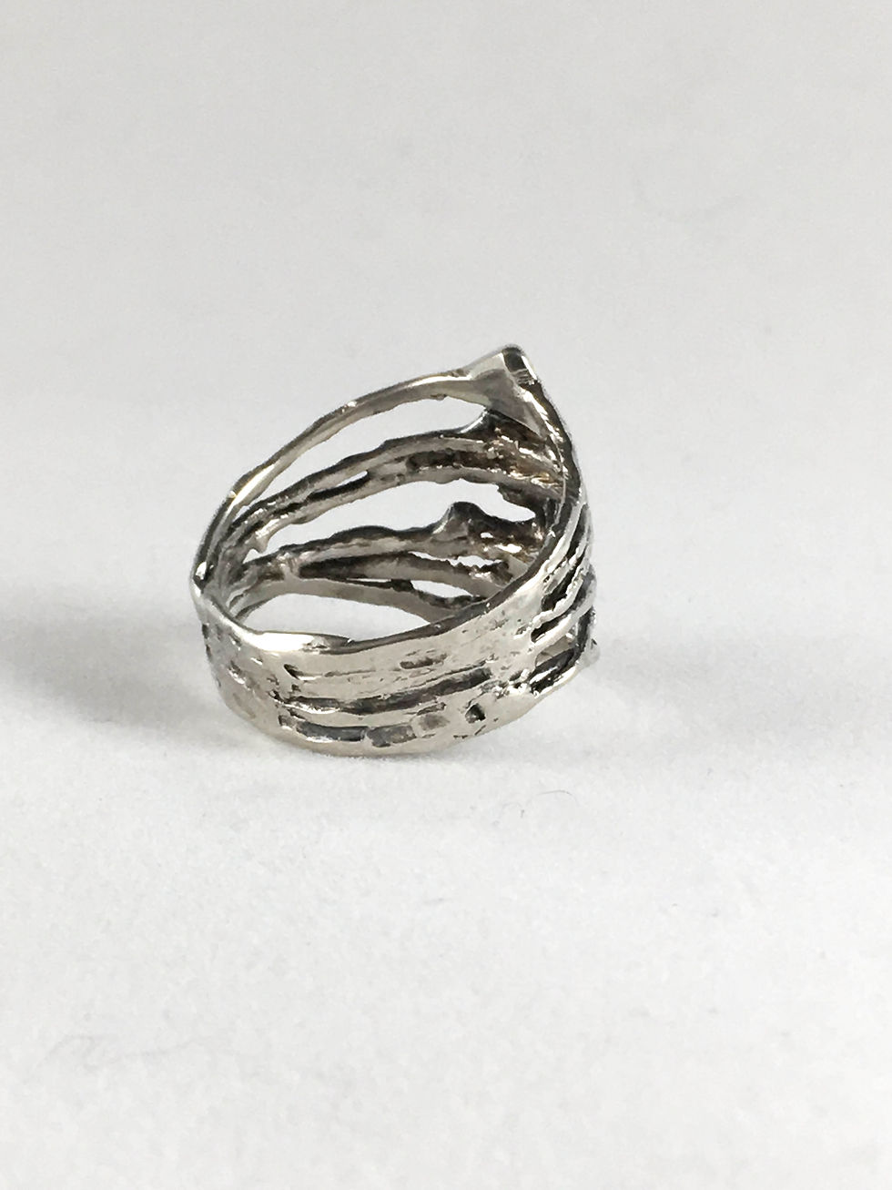 Thumbnail: Silver Spine