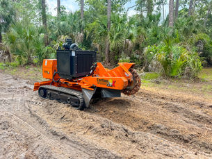 What to Expect After Stump Grinding