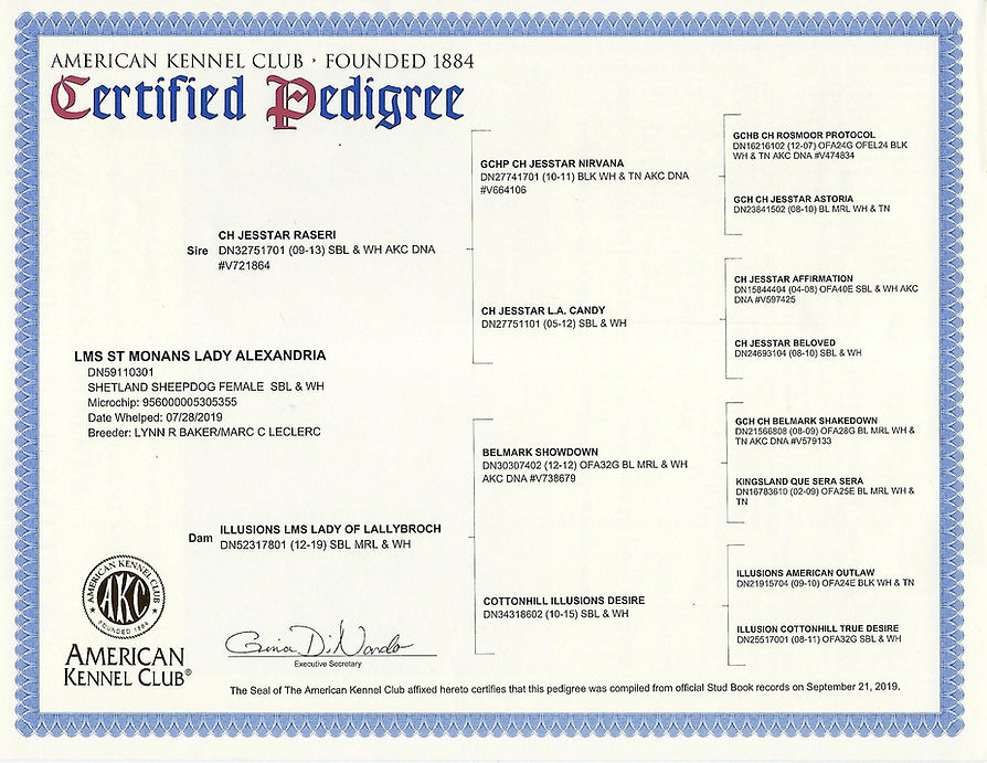 Pedigree.jpg