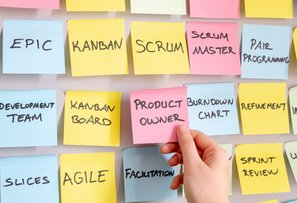 Why Proxy Product Owner is Required in Agile?