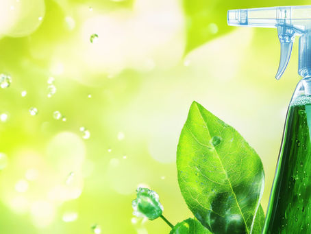 eco-friendly cleaning