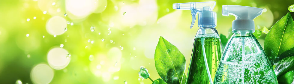 eco friendly cleaning