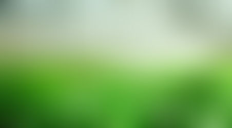 ทําไมต้องปลูกพืชแบบไฮโดรโปนิกส์