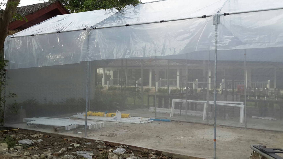 ภาพขนาดย่อ: Green house + Hydro SMEs