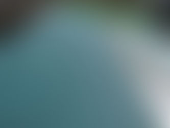 外壁や屋根の確認事項