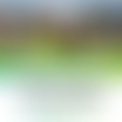 Climate-Smart Construction: Build Smarter, Compete Stronger