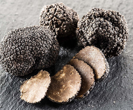 Truffle.jpg