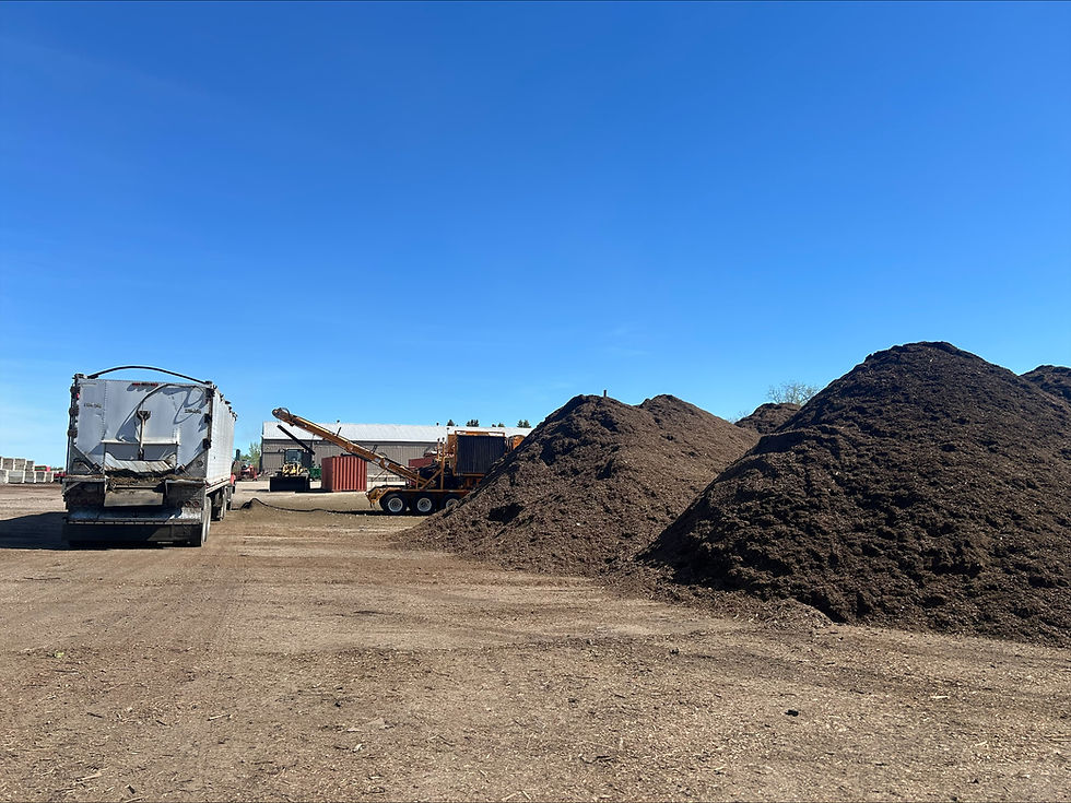 Why Mulch Matters More Than Most People Think