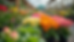 Eye-level view of colorful tropical plants and annual flowers neatly arranged on nursery benches at Perricone Garden Center