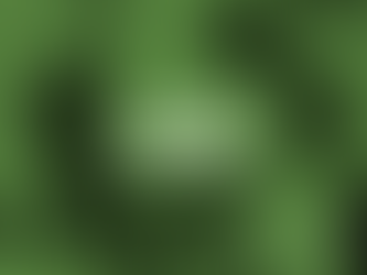 Los 4 Acuerdos Toltecas