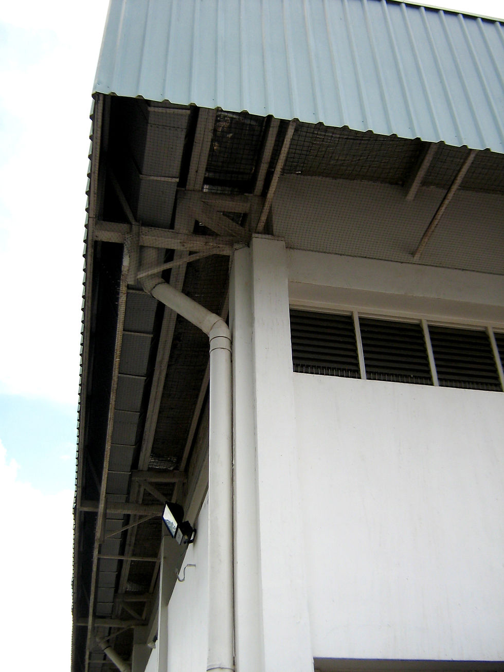 Under Roof Netting with Window Bird Spikes