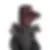 founderblack1.webp