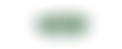 INTRODUCING THE ULTIMATE DIGITIZING DEAL FROM WITTEK DECORATING!