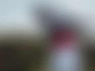 GALVIN GREEN EQUIPS GOLFERS FOR MOST UNPREDICTABLE WEATHER