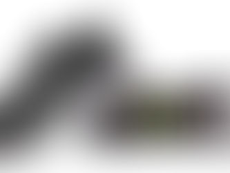 PAYNTR GOLF DEBUTS THE PAYTNR X 006 RS