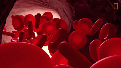 blood flow gif