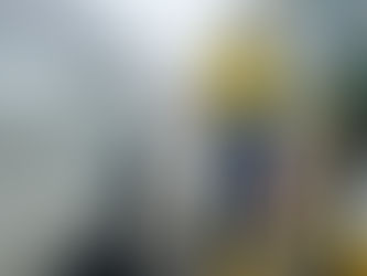 Optimismo de marcas participantes en plan piloto de la Ecoplus 89