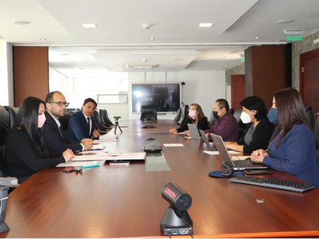 Petroecuador adjudicó a Trafigura la importación de 1’770.000 barriles de Nafta Ron 80