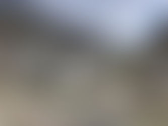 Este 14 de julio, CELEC conocerá ofertas para seguros de las centrales hidroeléctricas y térmicas