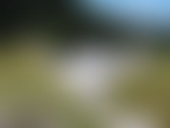 Culminaron las obras técnicas para el desalojo de sedimentos de la central Manduriacu en Esmeraldas