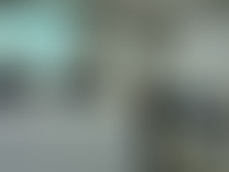 Gobierno ecuatoriano recibe oferta económica para construcción del proyecto Conolophus en Galápagos