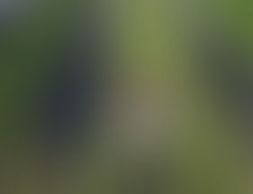 APLICACIONES DE ENERGÍAS RENOVABLES EN LA CADENA DE PRODUCCIÓN AGRÍCOLA