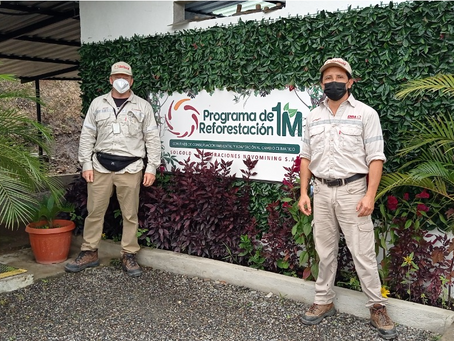 100 hectáreas reforestadas gracias al programa “Un Millón de Plantas” de SolGold