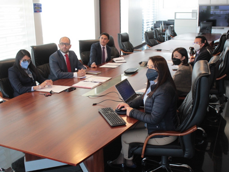 Petroecuador adjudicó la importación de 1’960.000 barriles de Diésel Premium a Singapur BB Energy