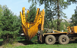 Tree transplanter heavy machine machine for transplanting large trees Planting large s